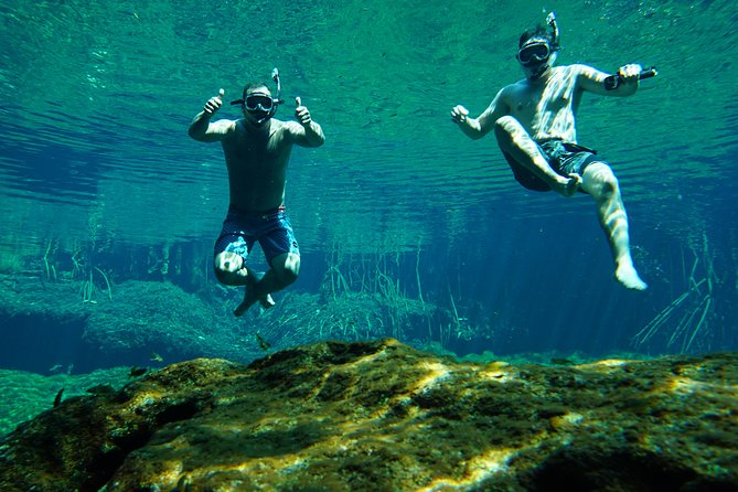 VIP Cenotes Private Tour - Who will enjoy this most?