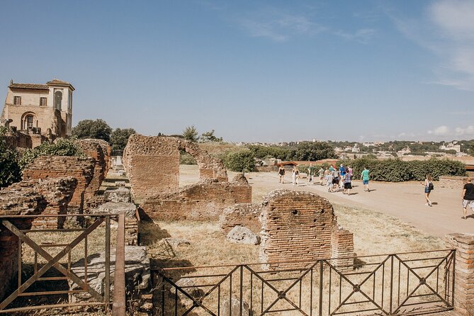 VIP Colosseum, Roman Forum & Palatine Hill & Special Access Sites - Who should book this ancient Rome walk?