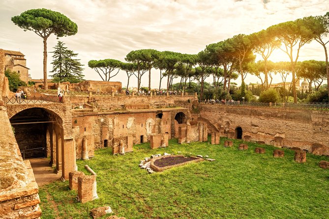 VIP Colosseum & Roman Forum Small Group Guided Tour - Should you book the VIP Colosseum and Roman Forum tour?