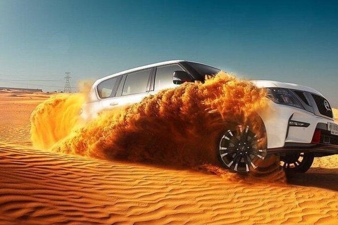 VIP Desert Safari, ATV, BBQ, Camel Ride, All Exclusive Services - What the guides add to the day