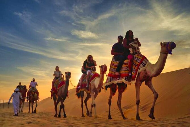 VIP Desert Safari Camel Ride Sand Boarding & BBQ Dinner - Seven courses and a full evening show