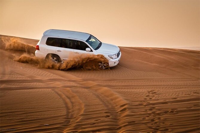 VIP Desert Safari Dubai with BBQ Dinner and Camel Riding - Key points to know before booking