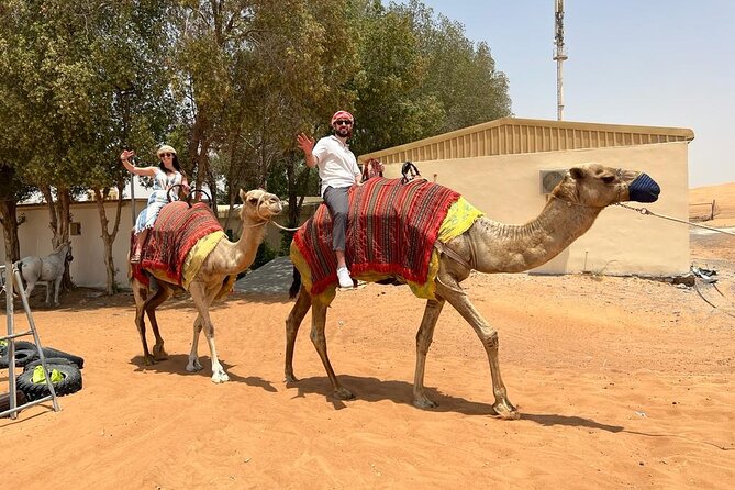 Vip Desert Safari Dubai with Camel Riding BBQ Dinner & Live Shows - Is $36.28 good value?