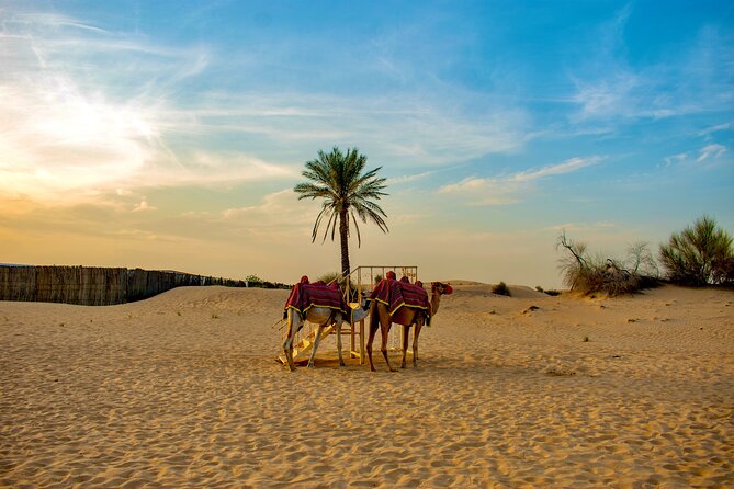 VIP Dubai Desert Safari Camel Ride, Sand Ski, Live BBQ Dinner - Sunset sandboarding and the photo stop