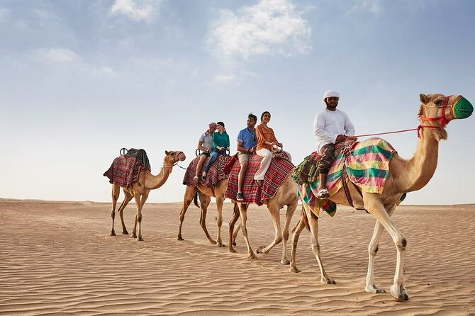VIP Dubai Sunset Desert Safari: Camel Ride, BBQ, Unlimited Spirit - Camel ride and sandboarding at the Bedouin-style camp