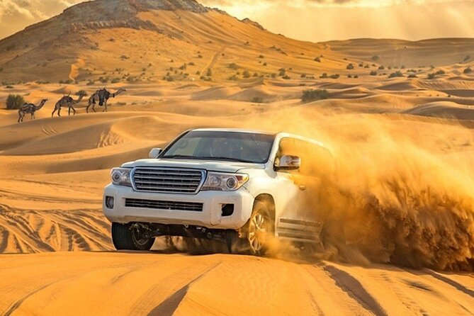 VIP Evening Desert Private Safari Tour in Dubai - Why the private 4WD matters in Dubai