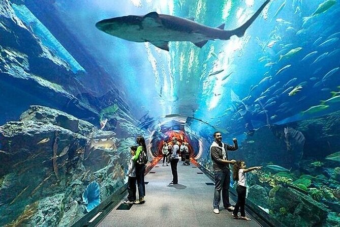 VIP Experience Dubai Aquarium & Underwater Zoo-As per Selection - Underwater Zoo and King Croc