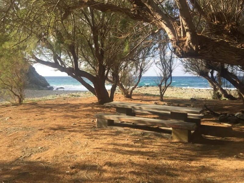 VIP Full-Day Private Tour (See the best with Professionals) - Who will enjoy this private Crete experience?