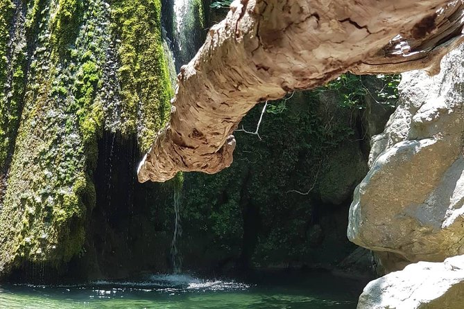 VIP Luxury Private Tour- Half Day - 4x4 Excursion with Land Rover - Choosing a realistic four-hour route