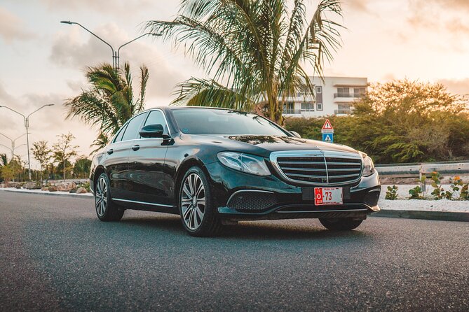VIP Luxury Sedan Airport Transfer - What happens after you land