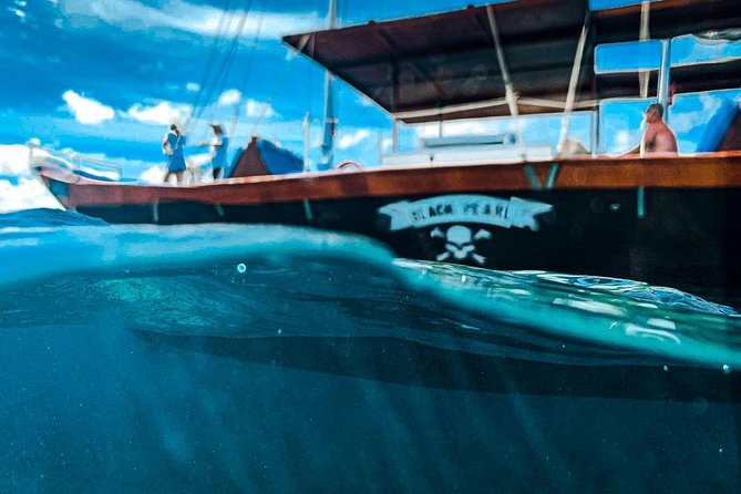 VIP Morning Delight Champagne Sailing and Snorkeling with Lunch - Who will enjoy this Aruba snorkeling cruise