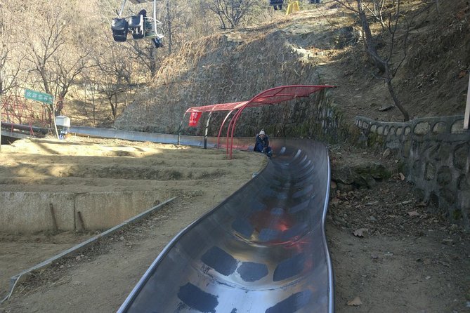 VIP Pass Beijing Mutianyu Great Wall All-Inclusive Day Tour - Finding your driver at Capital or Daxing Airport