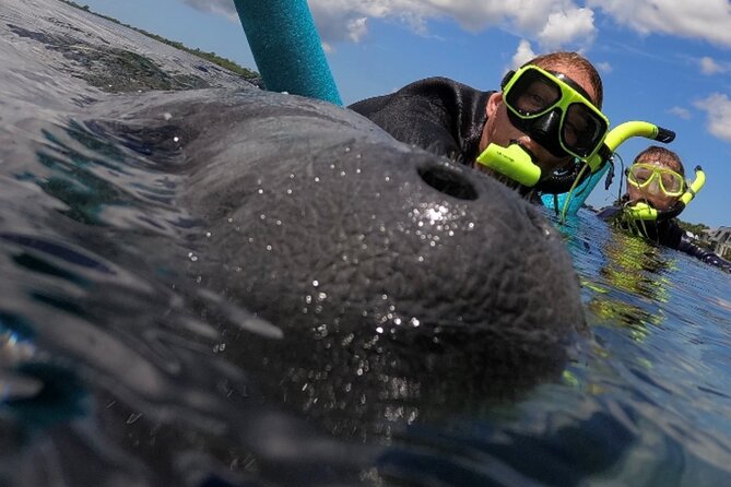 VIP Private Boat Manatee Snorkel Tour with In-Water Guide and Photograper - Key points to know before you book