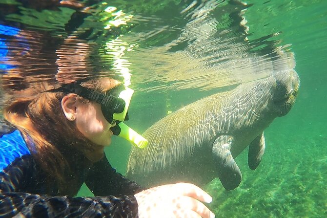 VIP Private Boat Manatee Snorkel Tour with In-Water Guide and Photograper - Getting comfortable in the water