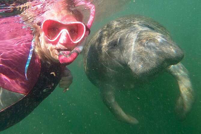 VIP Private Boat Manatee Snorkel Tour with In-Water Guide and Photograper - What happens before you board
