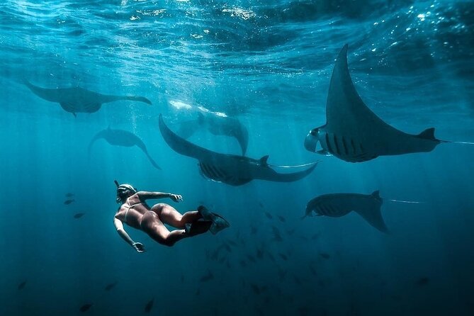 VIP Private Boat to Nusa Penida: Snorkeling with Mantas + Land Tour Adventure - Kelingking Cliff supplies the signature Bali view