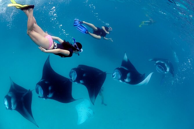 VIP Private Boat to Nusa Penida: Snorkeling with Mantas + Land Tour Adventure - Is $849 per person good value?