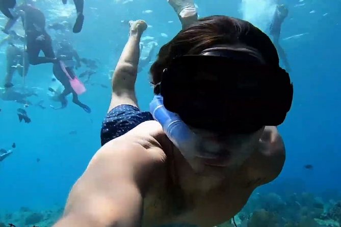 VIP Private Glass Bottom Boat and Snorkeling, 3 Reefs in Cozumel - The glass-bottom boat is useful, with limits