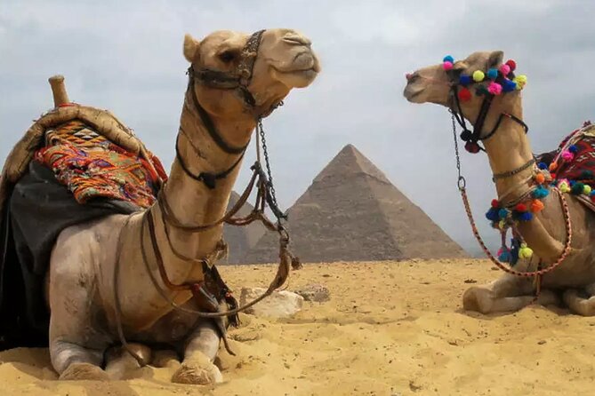 VIP Pyramids tour, Camel Ride, Museum, and Khan +local meal - Why this Cairo day works for first-time visitors