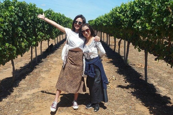 VIP Swan Valley Wine Tour - Premium Small Group Wine & Gourmet Experience - Key points to know before you book
