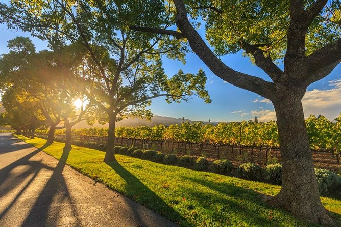 VIP Swan Valley Wine Tour - Premium Small Group Wine & Gourmet Experience - Why this Swan Valley tour feels different