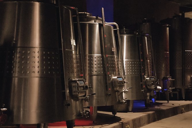 VIP Tasting: Wines from Rondo del Valle in an Underground Cellar - A 90-Minute Route From Cellar to Private Room