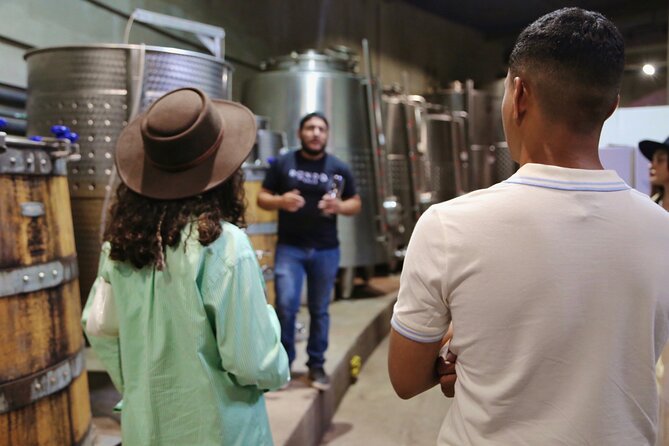 VIP Tasting: Wines from Rondo del Valle in an Underground Cellar - The Five-Wine Flight
