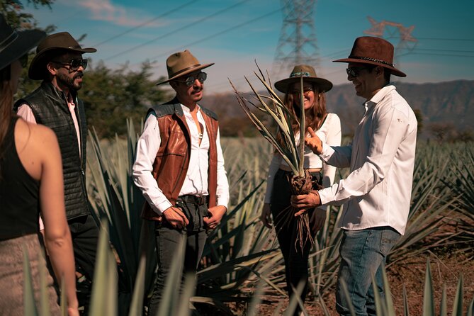 Vip Tequila Experience - Dinner and a walk through Tequila