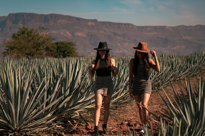 Vip Tequila Experience - Is the VIP format worth the fare?