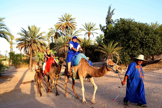 VIP tour Casablanca to Marrakech: Luxury Day of History & Culture - Jemaa el-Fnaa: the day’s loudest hour