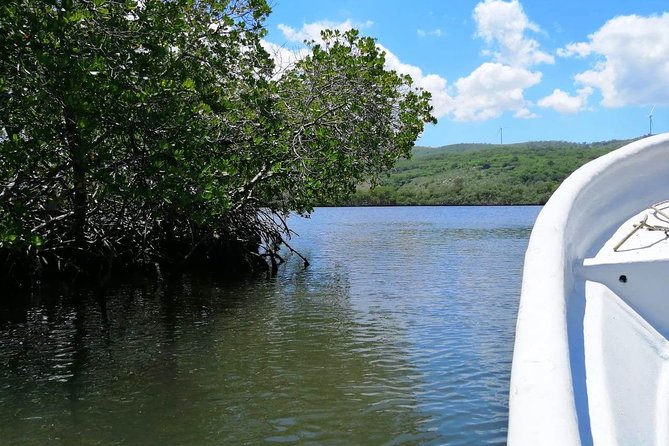 VIP tour to Paradise Island & The Mangroves - Playa Ensenada lunch and the long ride home