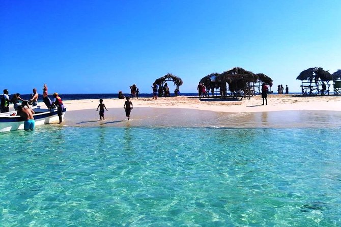 VIP tour to Paradise Island & The Mangroves - Who will enjoy this day most