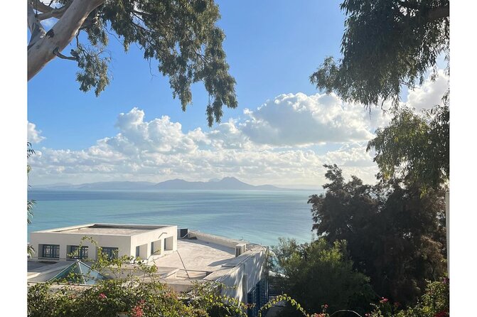 VIP Tour: Tunis Medina/Bardo, Sidi Bou Said, Carthage |PICKUP ALL - Carthage: spectacular ruins with limited guided detail