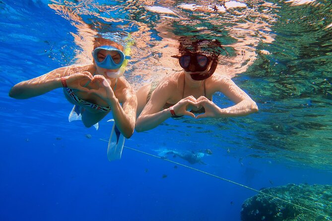 VIP -White Island & Ras Mohamed Snorkel Excursion - Why White Island makes this more than a standard boat trip