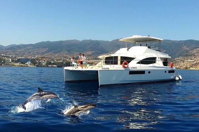 VipDolphins Luxury Whale Watching - A small catamaran from Funchal Marina