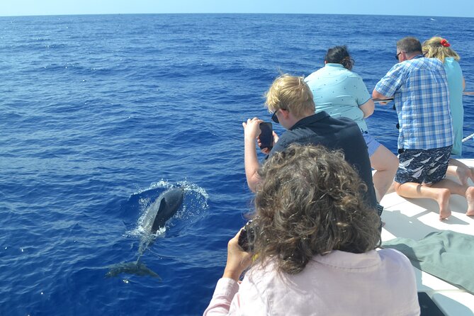 VipDolphins Luxury Whale Watching - Sea conditions, children, and practical comfort