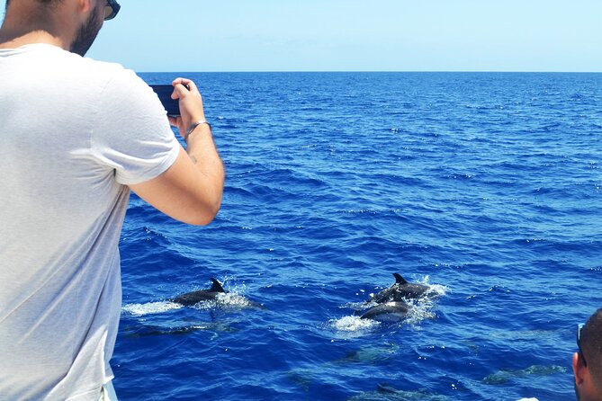 VipDolphins Luxury Whale Watching - Who will enjoy this most