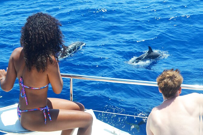VipDolphins Luxury Whale Watching - Champagne, local snacks, and an easygoing pace
