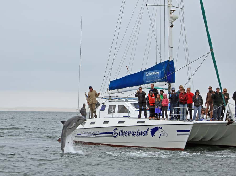 Walvis Bay: Marine Big 5 Luxury Catamaran Tour - Lunch with Namibian oysters and sparkling wine