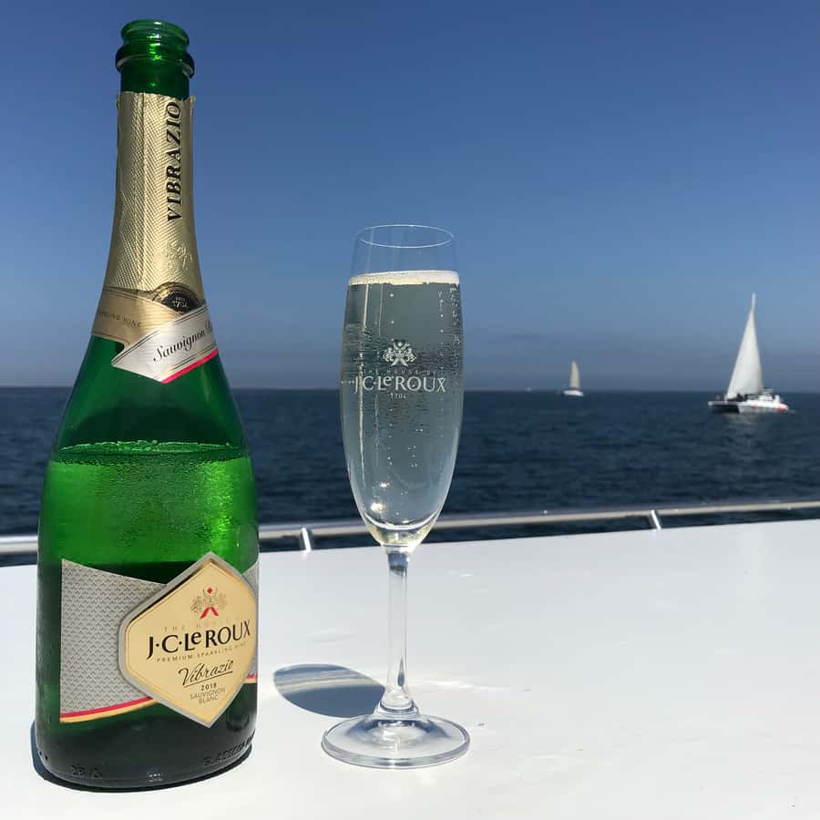 Walvis Bay: Marine Big 5 Luxury Catamaran Tour - What the guides add to the morning