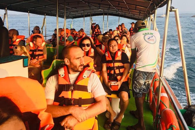 Whales and Dolphins Watching-Luxury Super Grade Cruiser(Hotel Pick up offered) - Why the $65 price can make sense