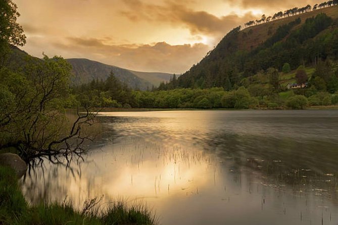 Wicklow Mountains & Glendalough Luxury Private Day Tour - Powerscourt Waterfall and the choice between stops