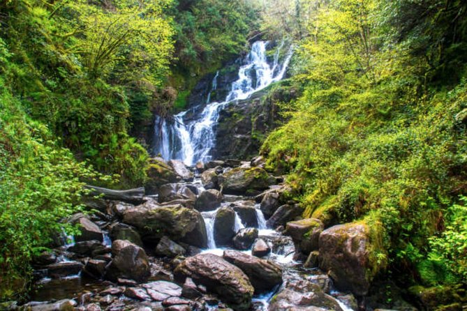 Wicklow Mountains & Glendalough Luxury Private Day Tour - What the private format is really worth