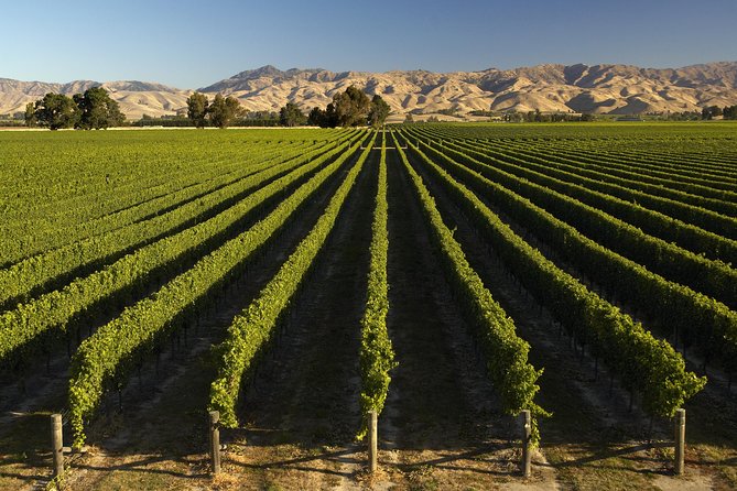 Wine trail and Christchurch City - Luxury, Small Group Tour - Ending with She Chocolate