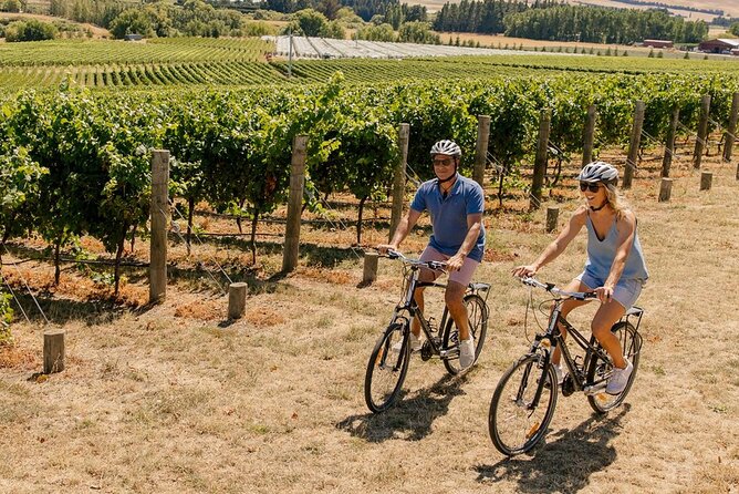 Wine trail and Christchurch City - Luxury, Small Group Tour - What the $387.86 price covers
