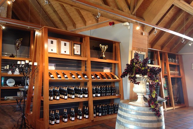 Wine trail and Christchurch City - Luxury, Small Group Tour - Port Hills views over Canterbury
