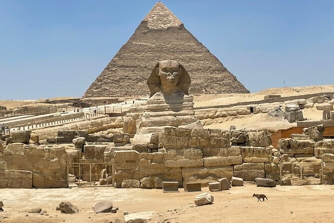 Your VIP Giza Tour: Pyramids, Camels & Authentic Egyptian food - Koshari, coffee, and a taste of present-day Egypt
