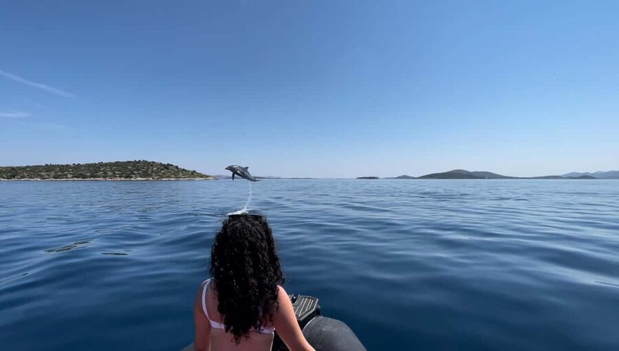 Zadar: Island Luxury Speedboat Tour with Snorkeling - Ošljak: a quiet island with a short uphill walk