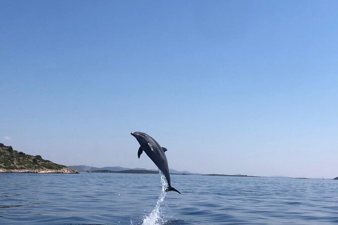 Zadar: Island Luxury Speedboat Tour with Snorkeling - Should you book the Zadar island speedboat tour?