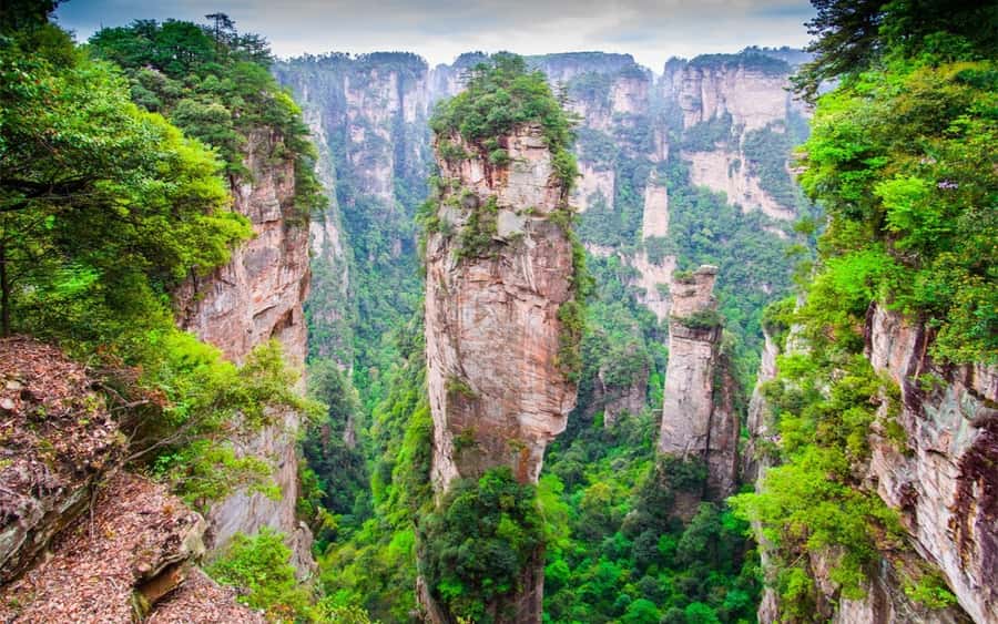 Zhangjiajie: VIP Zhangjiajie National Forest Park Day Tour - Why the VIP format helps in Zhangjiajie